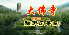 啊啊啊啊大鸡巴使劲操我的视频中国浙江-新昌大佛寺旅游风景区
